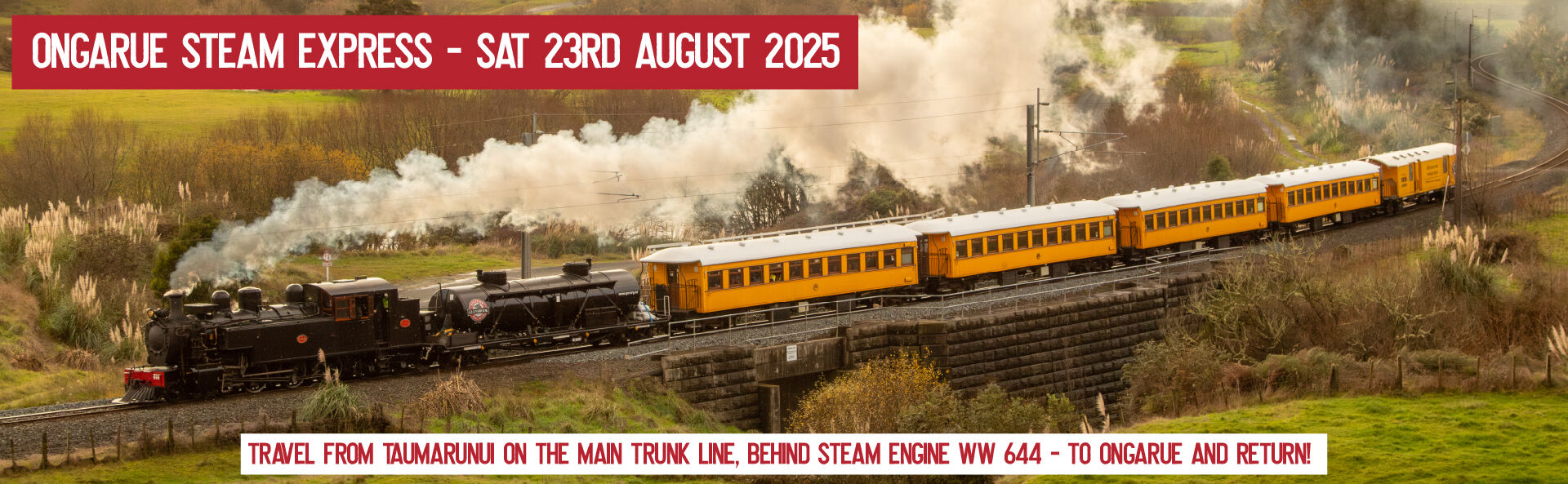 Ongarue Steam Express - From Taumarunui