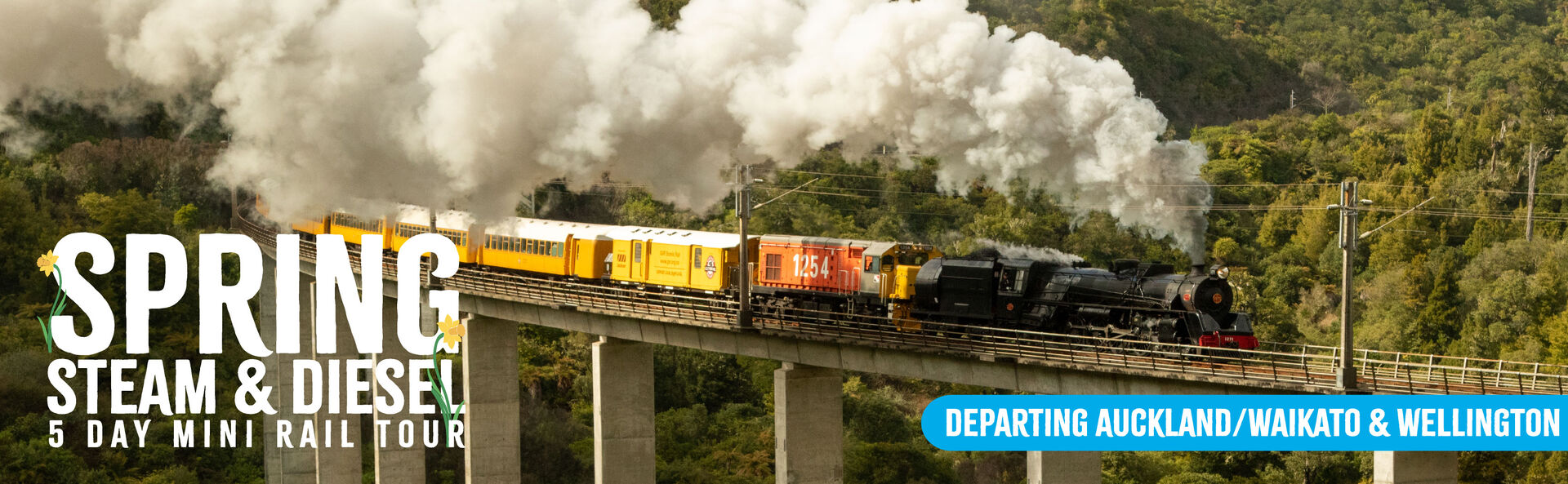 Travel aboard GVR’s private tour train, enjoy steam-hauled highlights with Steam Incorporated, explore Wellington, and experience the much-loved Carterton Daffodil Festival.