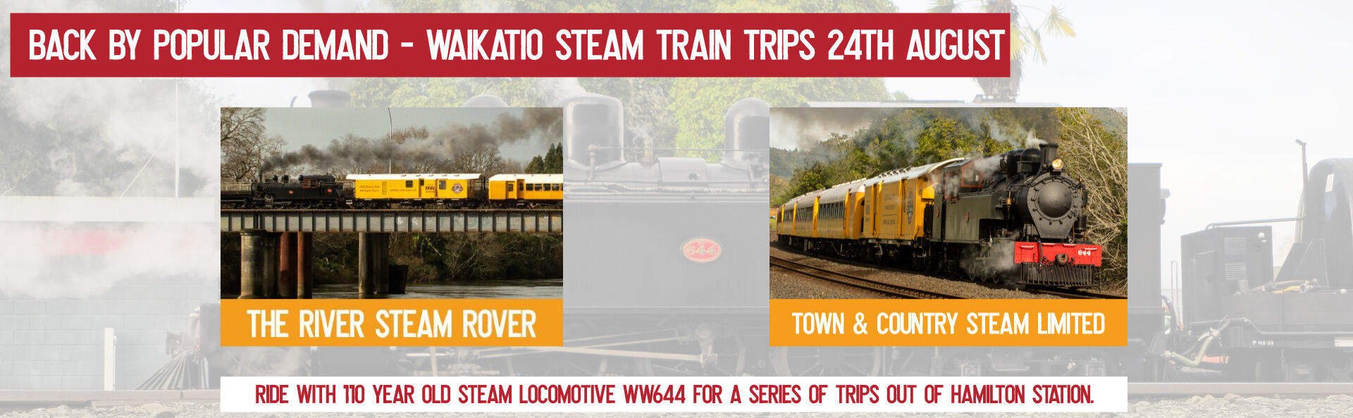 Special Waikato Steam trains in August