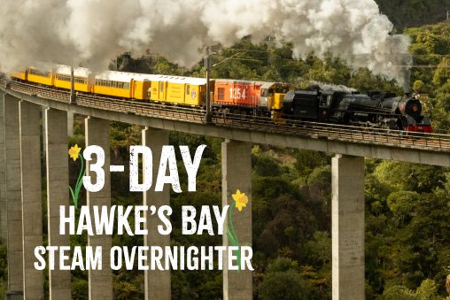 Hawke's Bay Steam Overnighter