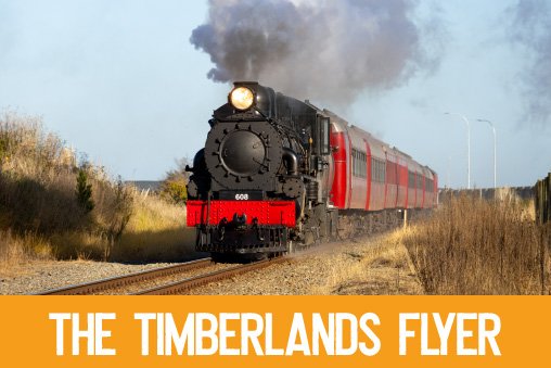 The Timberlands Flyer