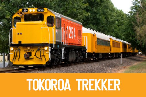 Tokoroa Trekker