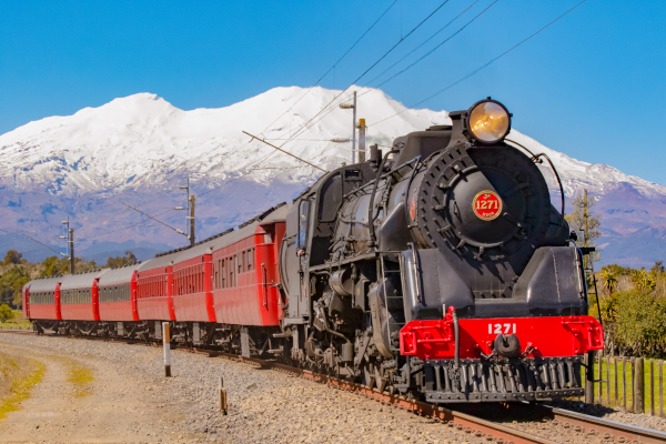 Palmerston North → Hamilton/Auckland